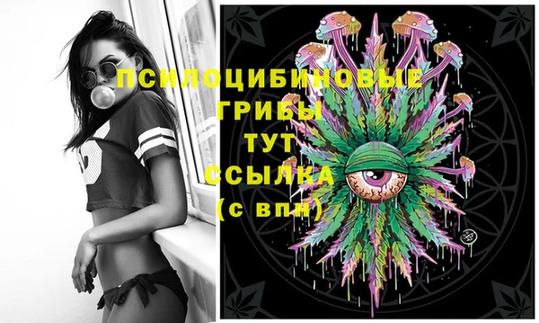 spice Абаза