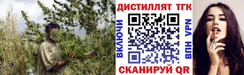 shop состав  Новотроицк  ТГК концентрат 