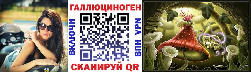 наркотики  Новотроицк  Псилоцибиновые грибы Psilocybe 